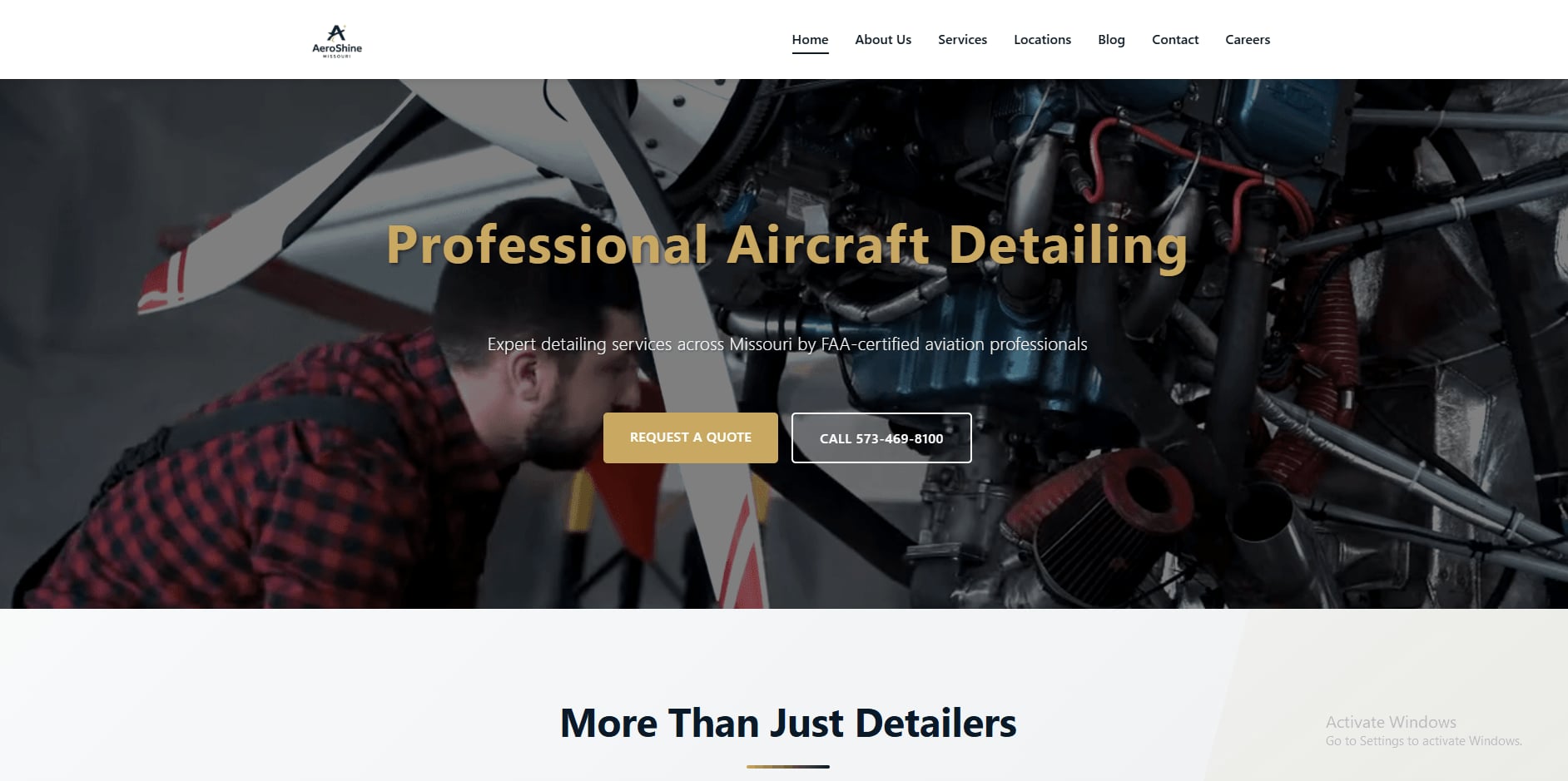 Professional aircraft detailing service website homepage